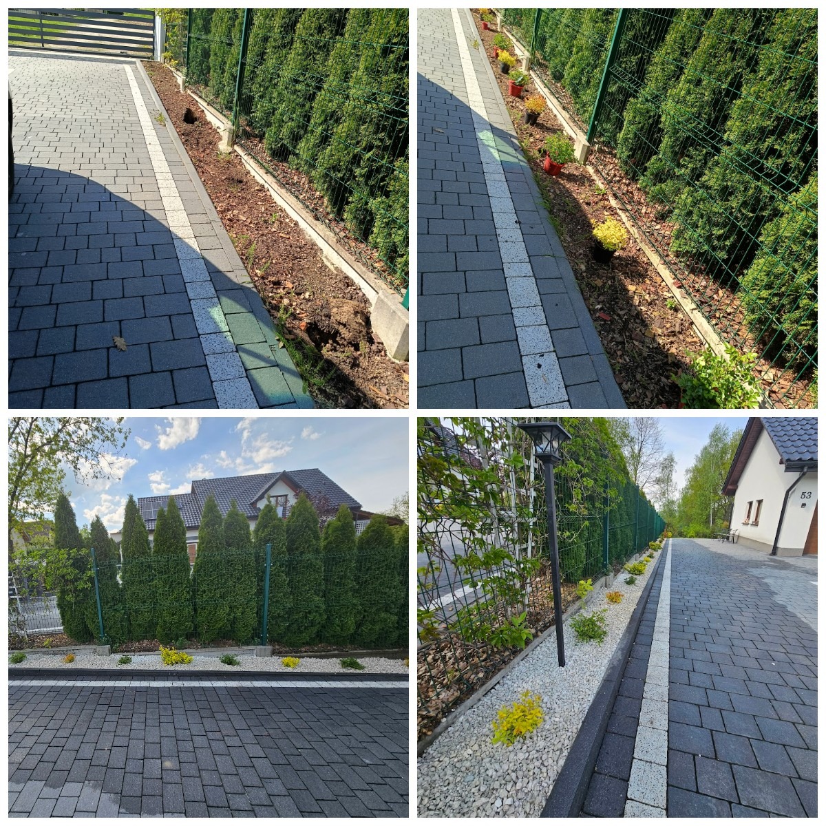 Cztery kadry: etap prac ogrodowych przy posesji. Widoczna kostka brukowa, zielone tuje, rabaty z korą i kamieniami. Układanie obrzeży i nasadzenia roślin ozdobnych.