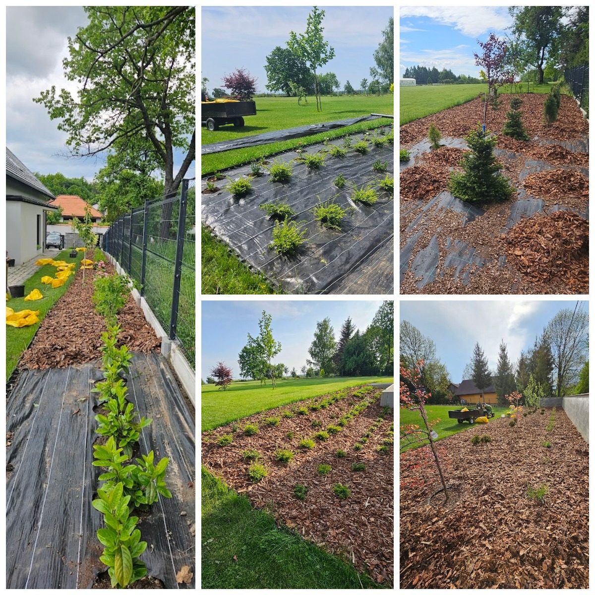 Nowo założony ogród: czarna agrowłóknina, świeżo posadzone rośliny i kora drzewna wzdłuż ogrodzenia. Część roślin jeszcze w żółtych osłonkach. Widok na zielony trawnik i drzewa.