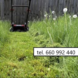 Piękna Zieleń - Usługi Ogrodnicze Pruszcz Gdański