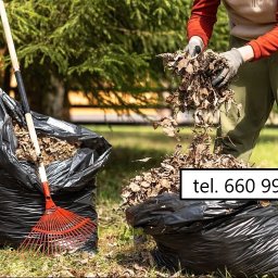 Piękna Zieleń - Osoba w rękawicach wrzuca liście do czarnego worka. Obok stoi drugi worek z grabiami i liśćmi. W tle drzewa.