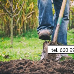 Pielęgnacja ogrodów Pruszcz Gdański 1