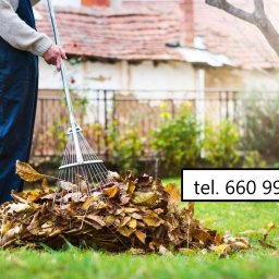 Pielęgnacja ogrodów Pruszcz Gdański 2