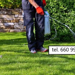 Pielęgnacja ogrodów Pruszcz Gdański 3