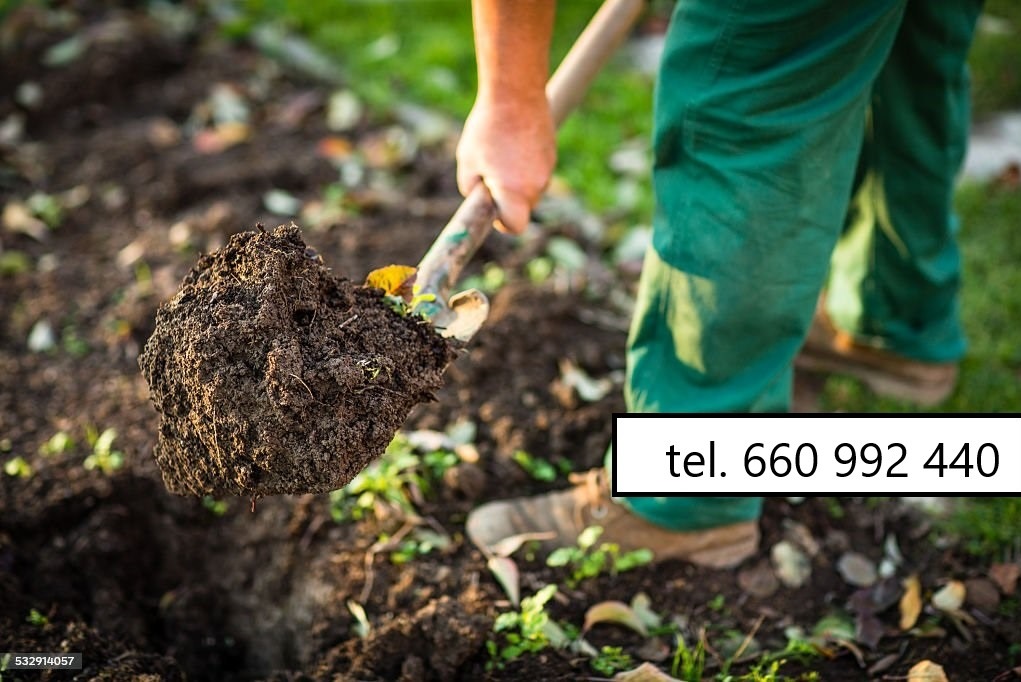 Osoba w zielonych spodniach kopie ziemię szpadlem. Widoczny fragment trawnika i świeżo przekopana gleba. Praca w ogrodzie.