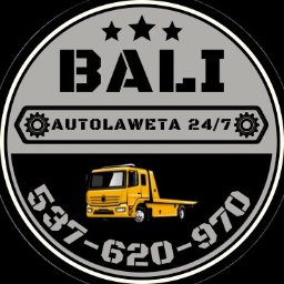 USŁUGI OG&Oacute;LNOBUDOWLANE I TRANSPORTOWE RAFAŁ FUSIARZ - Ładowarko-koparki Stare Bielice