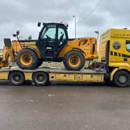 Wycinka drzew Stare Bielice 1