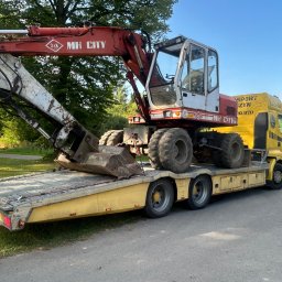 Wycinka drzew Stare Bielice 3