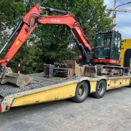 Wycinka drzew Stare Bielice 2