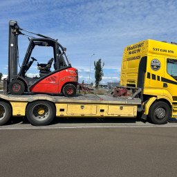 Wycinka drzew Stare Bielice 4