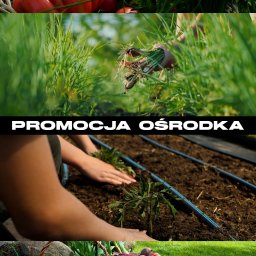 Filmy na zamówienie Łódź 2