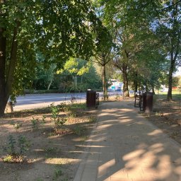 Manus Company Marcin Matusiak - Ścieżka z kostki brukowej w parku, oświetlona słońcem, z drzewami po bokach i koszami na śmieci. Widok na ulicę w tle.