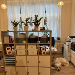 E.J.M. CONSULTING SPÓŁKA Z OGRANICZONĄ ODPOWIEDZIALNOŚCIĄ - Jasne biuro z regałem pełnym segregatorów i roślin, lampami w stylu skandynawskim i psem Golden Retriever leżącym na podłodze. Domowe biuro.