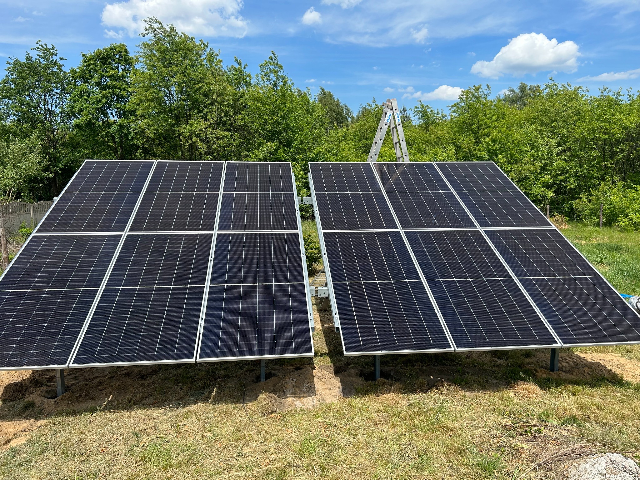Dwa rzędy paneli słonecznych na metalowych podporach, na tle zieleni i błękitnego nieba z drabiną opartą o drzewo. Widok z poziomu gruntu.