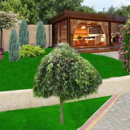 Mycie okien Warszawa 1