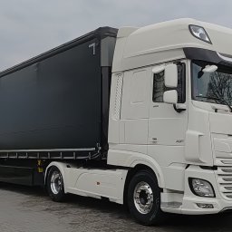 Transport międzynarodowy Molna 1