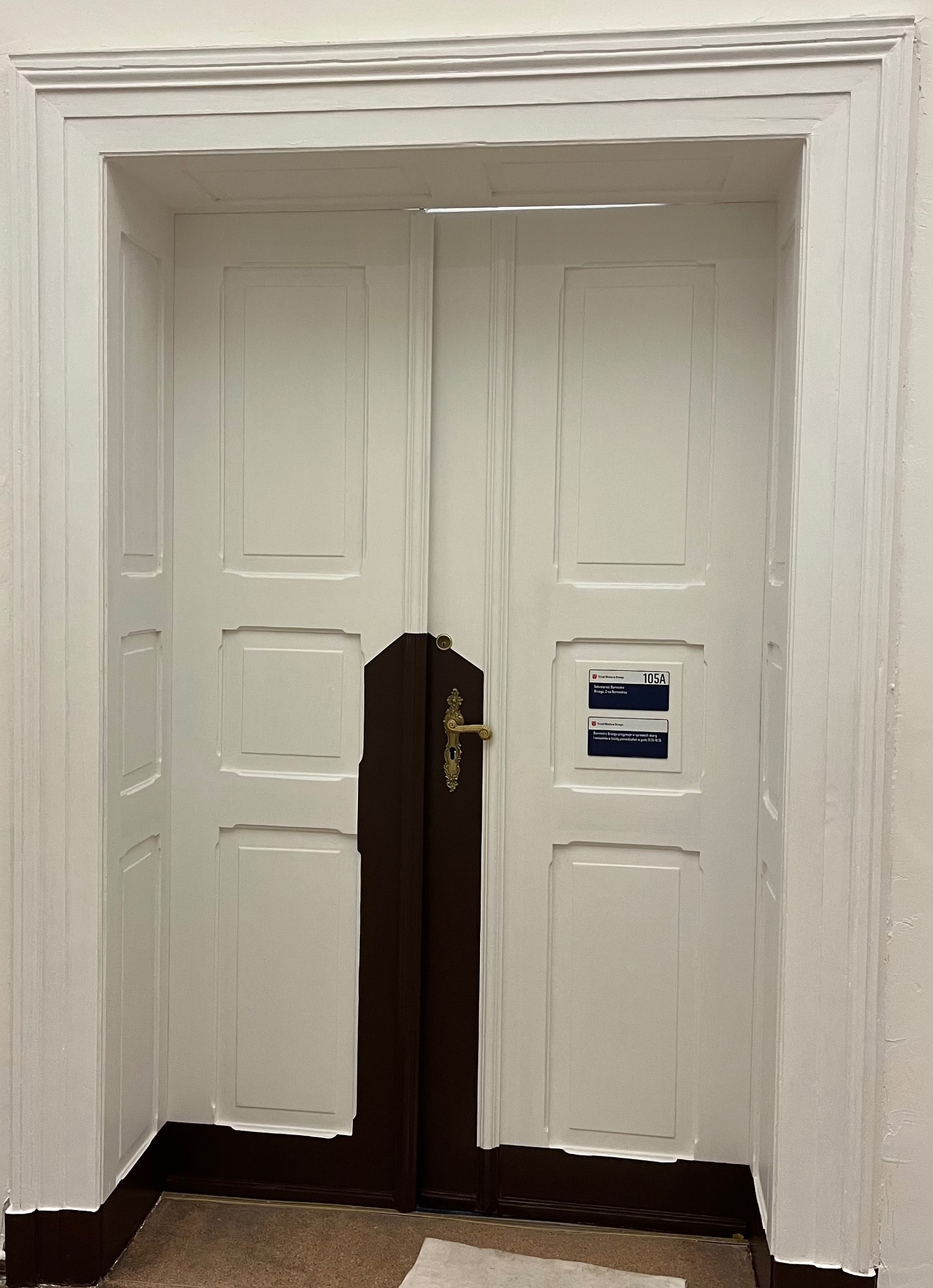 Białe, dwuskrzydłowe drzwi z brązowym elementem centralnym i złotą klamką, otoczone białą futryną. Na drzwiach widoczna tabliczka informacyjna z numerem 105A.