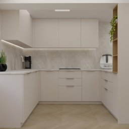 Projektowanie mieszkania Radomice 4