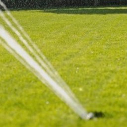 Piotr Bartkiewicz PHU "ABART" - Sadzenie drzew i krzew&oacute;w Środa Śląska