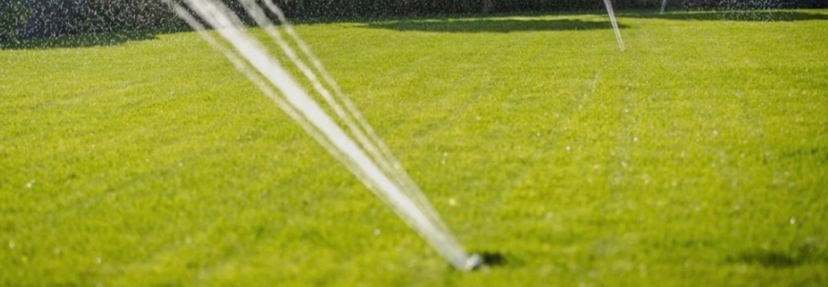 Zraszacze nawadniające soczystą, zieloną trawę na tle ciemnozielonego żywopłotu. System nawadniania w akcji, równomierne rozprowadzanie wody.