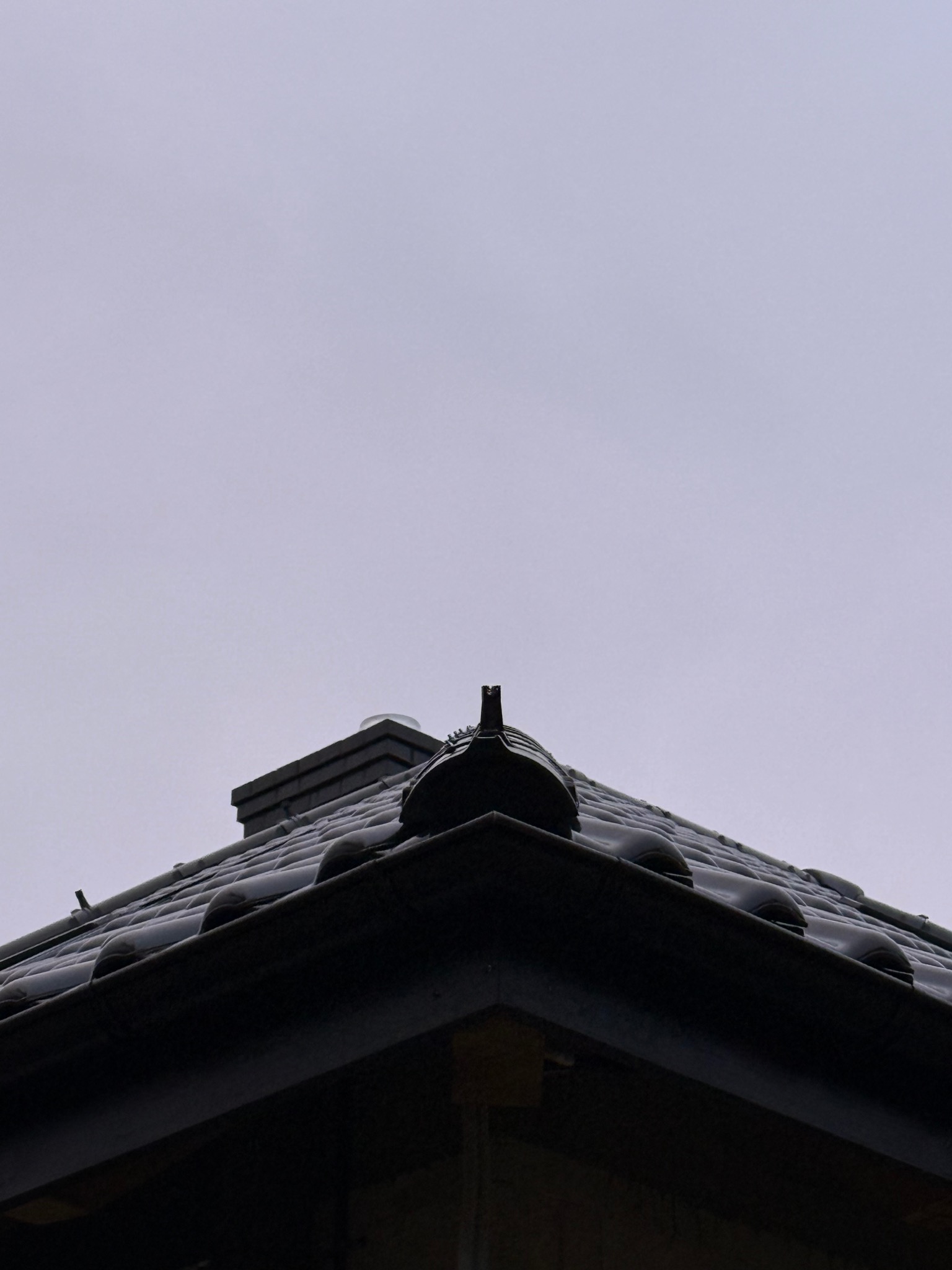 Ciemna dachówka z kominem i systemem ochrony, widok z dołu na tle pochmurnego nieba. Elementy instalacji na dachu.