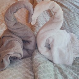 Małgorzata Aneta - Dwa ręczniki uformowane w kształt łabędzi, jeden biały, drugi szary, ułożone na wzorzystej pościeli w hotelowym pokoju. Dekoracja z ręczników tworzy romantyczny nastrój.