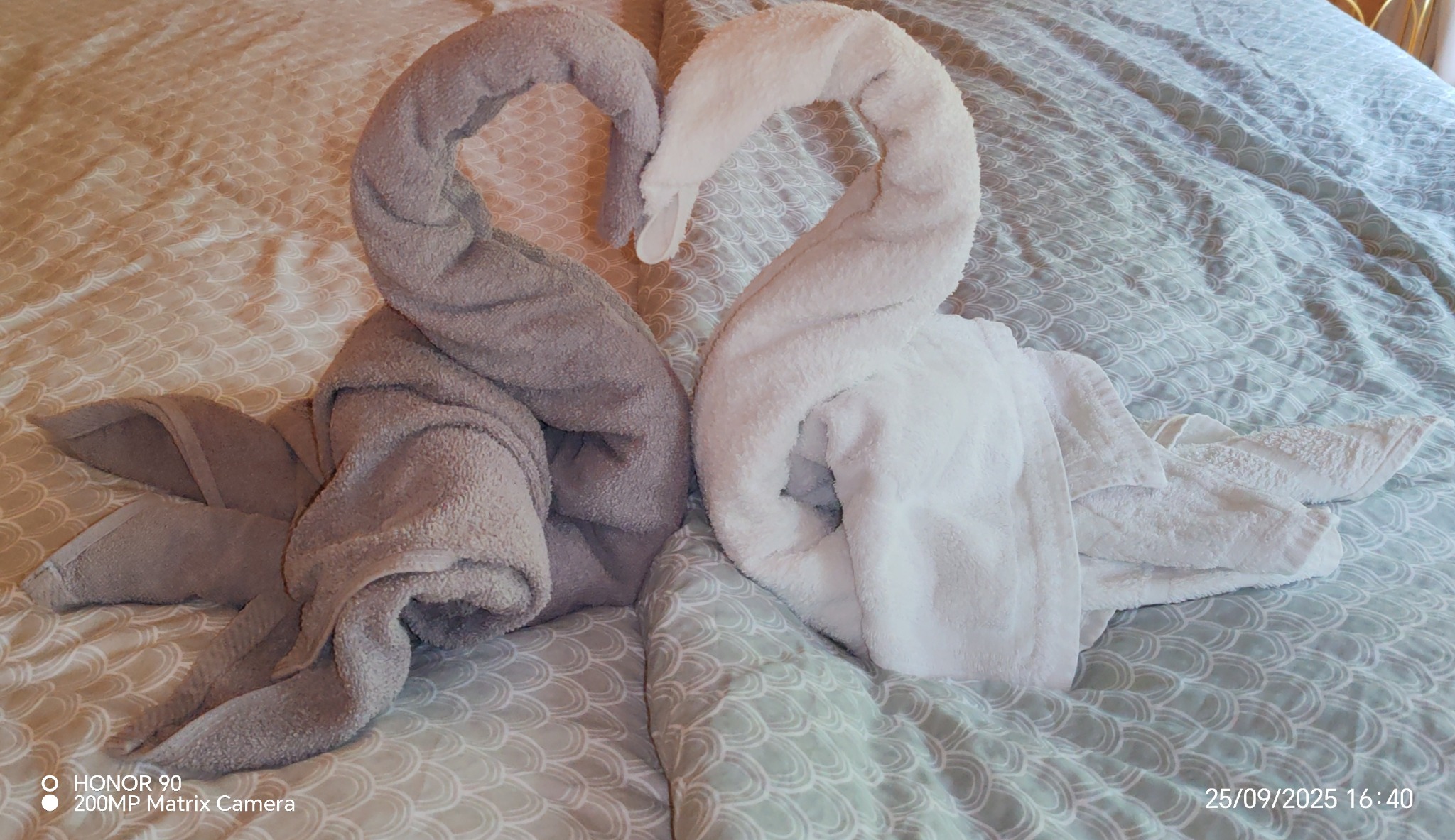 Dwa ręczniki uformowane w kształt łabędzi, jeden biały, drugi szary, ułożone na wzorzystej pościeli w hotelowym pokoju. Dekoracja z ręczników tworzy romantyczny nastrój.