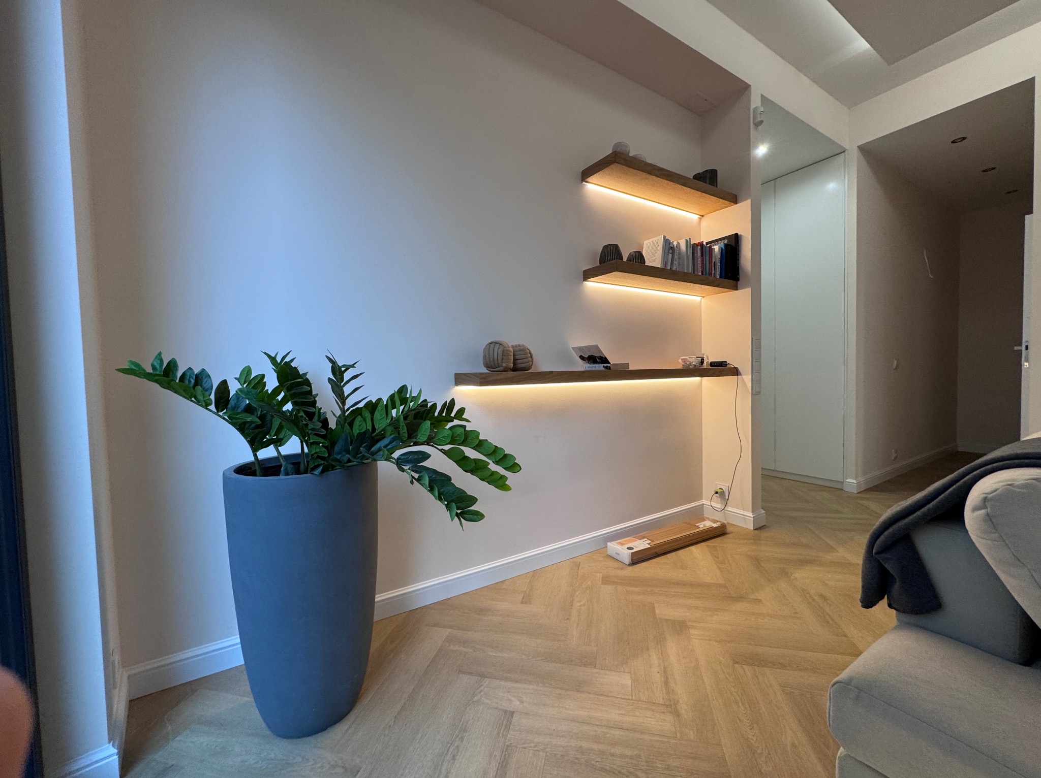 Nowoczesne wnętrze: drewniana podłoga w jodełkę, ściana z podświetlanymi półkami i zielony kwiat w szarej donicy. Minimalistyczny design.