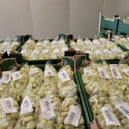 Pakowanie i konfekcjonowanie Modlibogowice 4