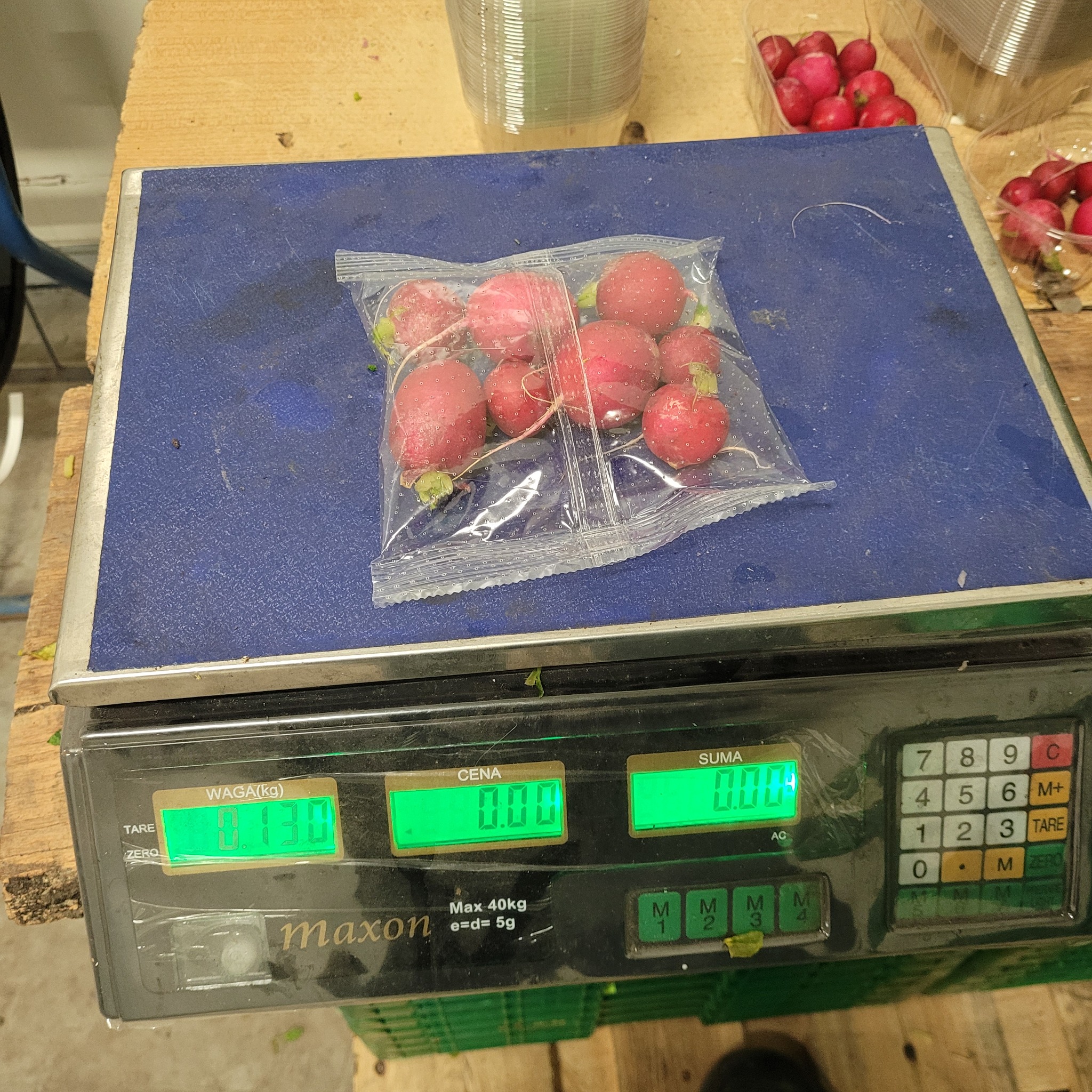 Ważenie zapakowanych rzodkiewek na wadze elektronicznej. W tle widoczne pojemniki z rzodkiewkami i kubki plastikowe. Waga wskazuje 0.130 kg.