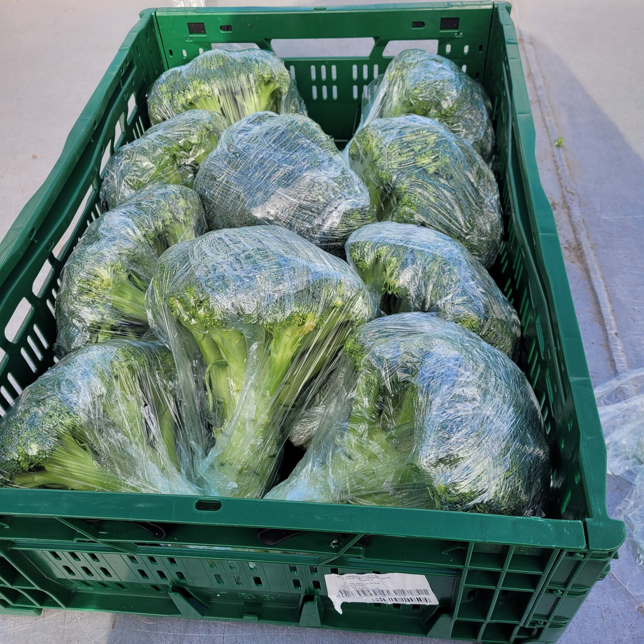 Zielona skrzynka wypełniona brokułami, każdy owinięty w folię spożywczą. Widoczne etykiety na skrzynce. Przygotowane do transportu lub przechowywania.