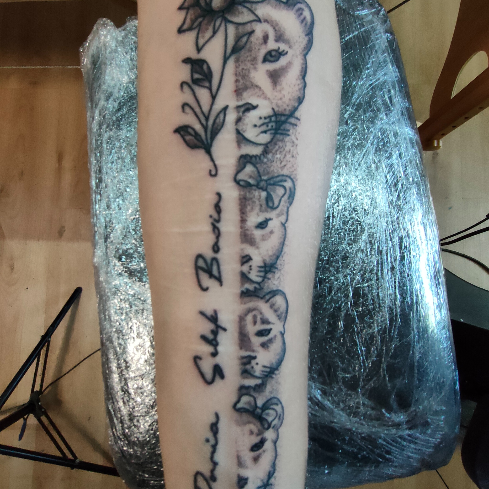 Świeży tatuaż z motywem lwiej rodziny i imionami, owinięty folią ochronną na przedramieniu, czarno-biały, wykonany z dbałością o szczegóły.