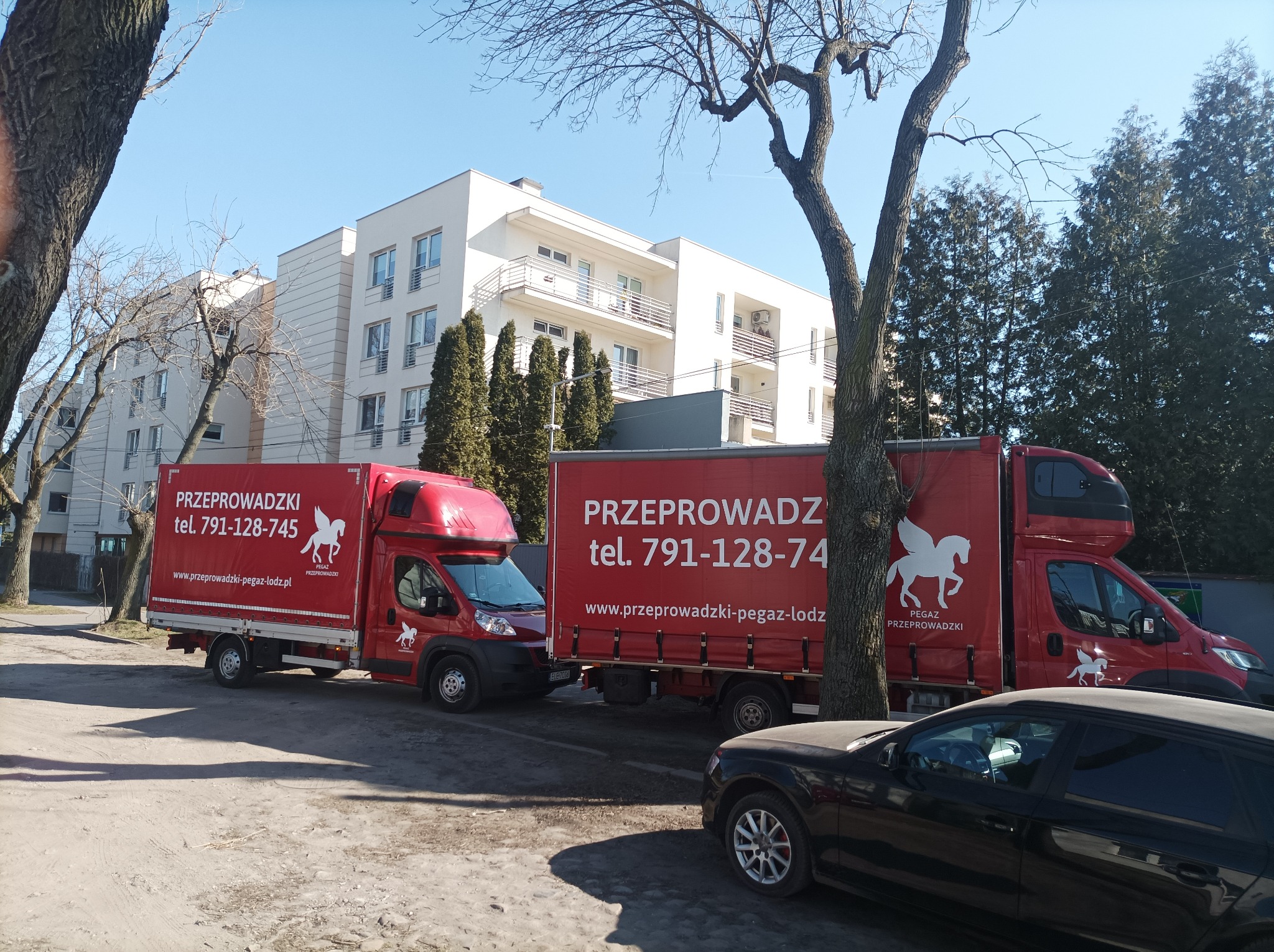 Dwa czerwone busy z logo Pegaz Przeprowadzki zaparkowane przed nowoczesnym budynkiem w słoneczny dzień. Na busach widnieje numer telefonu i adres strony internetowej.