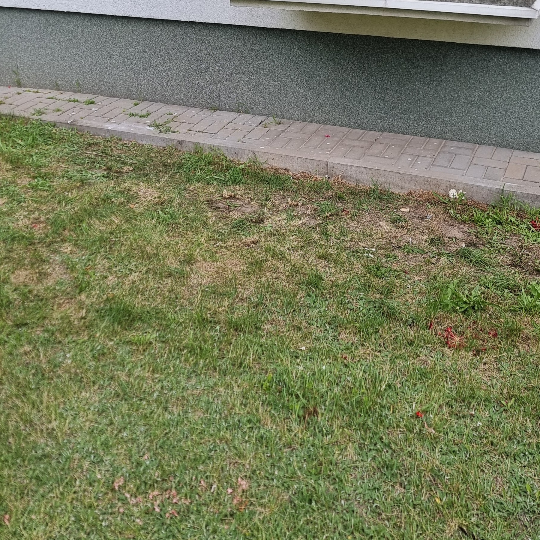 Fragment elewacji budynku z szarą strukturą, obok trawnik z widocznymi śladami po pracach ziemnych i kostką brukową przy budynku.