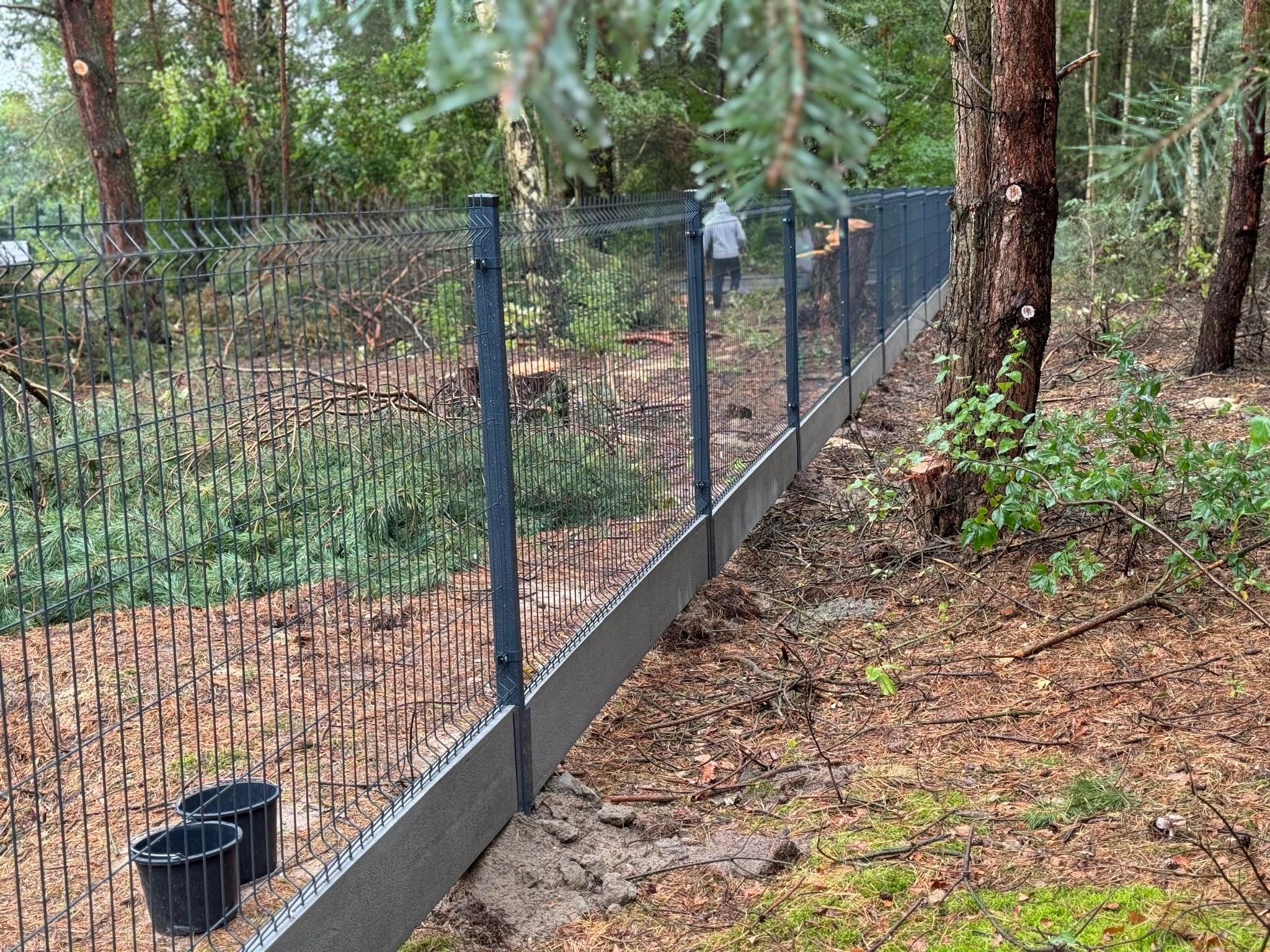 Nowoczesne ogrodzenie panelowe z podmurówką betonową, wkomponowane w leśny krajobraz. Widoczne słupki i siatka w odcieniach szarości. W tle osoba oddalająca się wzdłuż ogrodzenia.
