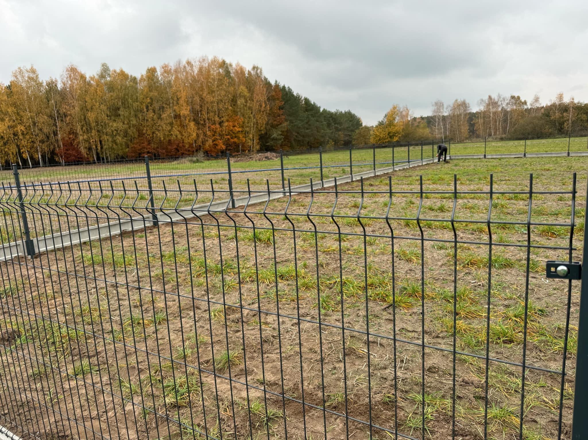 Nowoczesne ogrodzenie panelowe z podmurówką betonową na tle jesiennego krajobrazu. Widoczna osoba pracująca przy montażu w oddali.