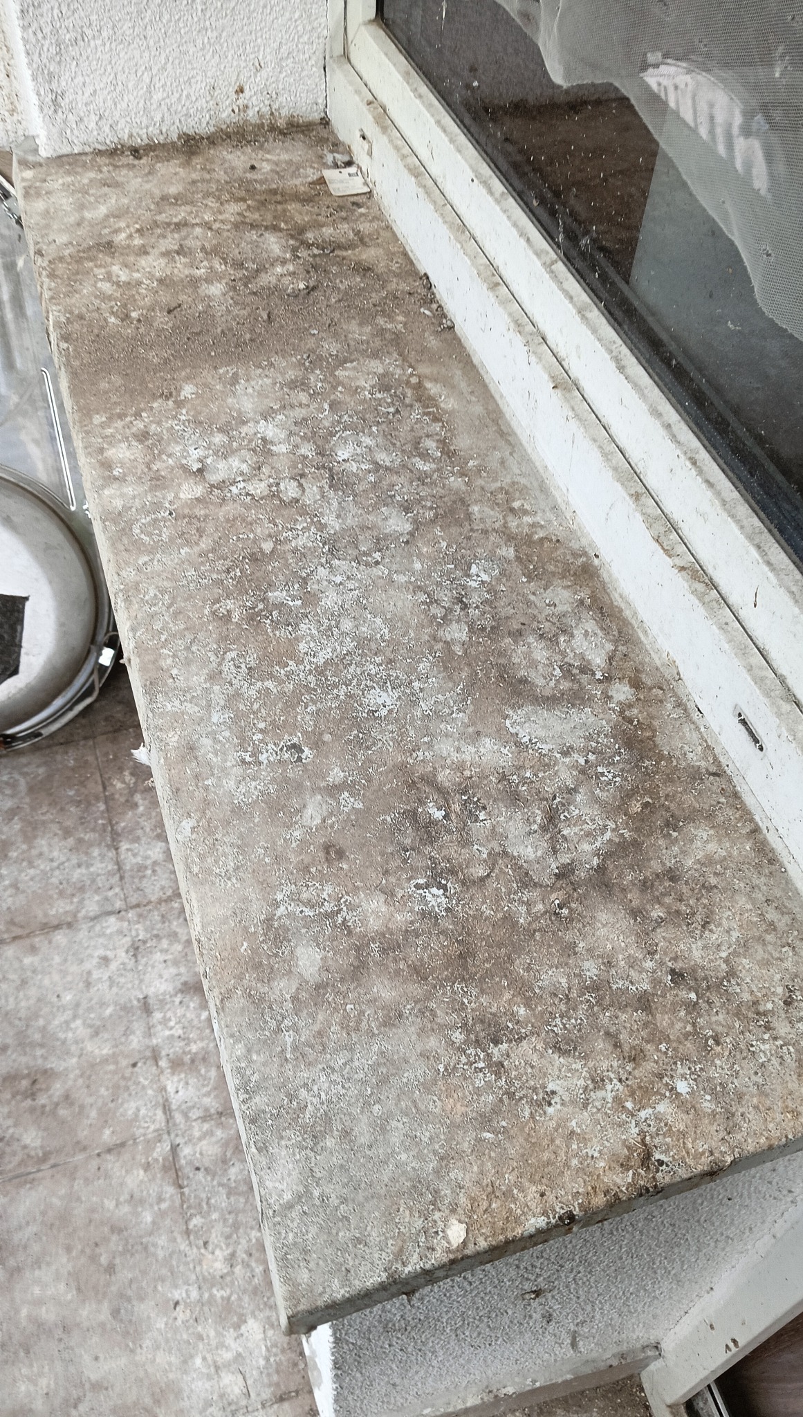 Sprzątanie balkonu z odchodów gołębi