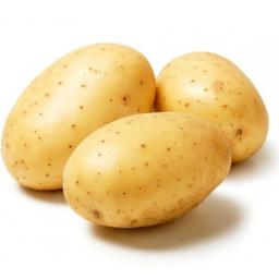 Ukraina.Warzywa,ziemniaki jadalne 0,50 zl/kg + krochmalnia na sprzedaz,wynajem