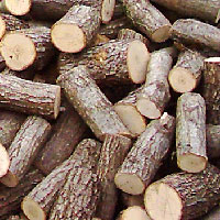 Stos pociętych, okorowanych kawałków drewna ułożonych chaotycznie, widoczne przekroje poprzeczne z jasnymi słojami.