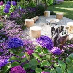 GREENCRAFT NATALIA SWEBODZIŃSKA - Ogród z hydrangeami i wrzosami, drewniane siedziska wokół paleniska na żwirowym podłożu. Kompozycja z pni drzew. Bujna roślinność i zadbany trawnik w tle.