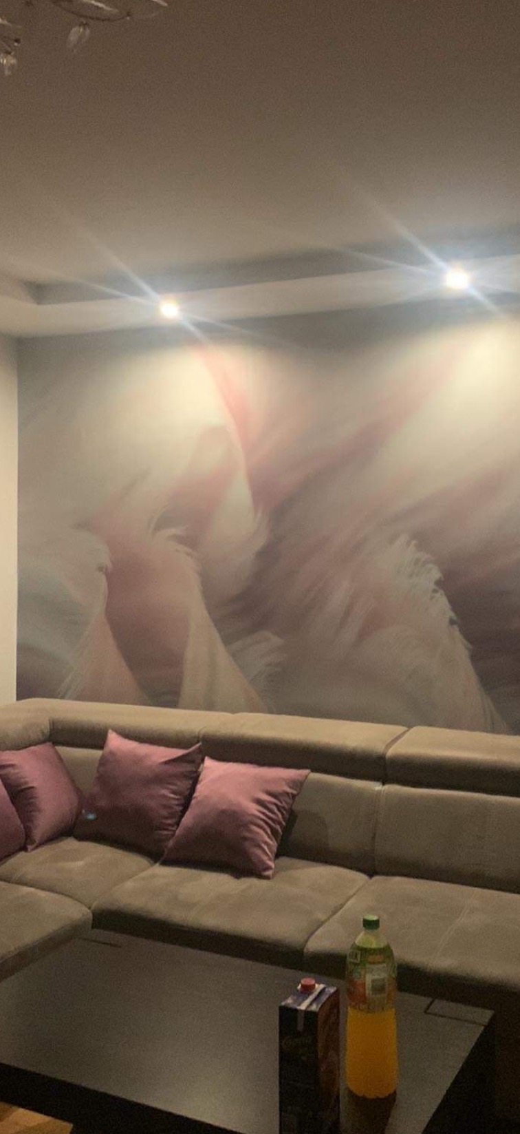 Salon z narożnikiem, poduszkami i abstrakcyjną tapetą w odcieniach bieli i różu. Na stole napoje. Oświetlenie punktowe sufitowe.