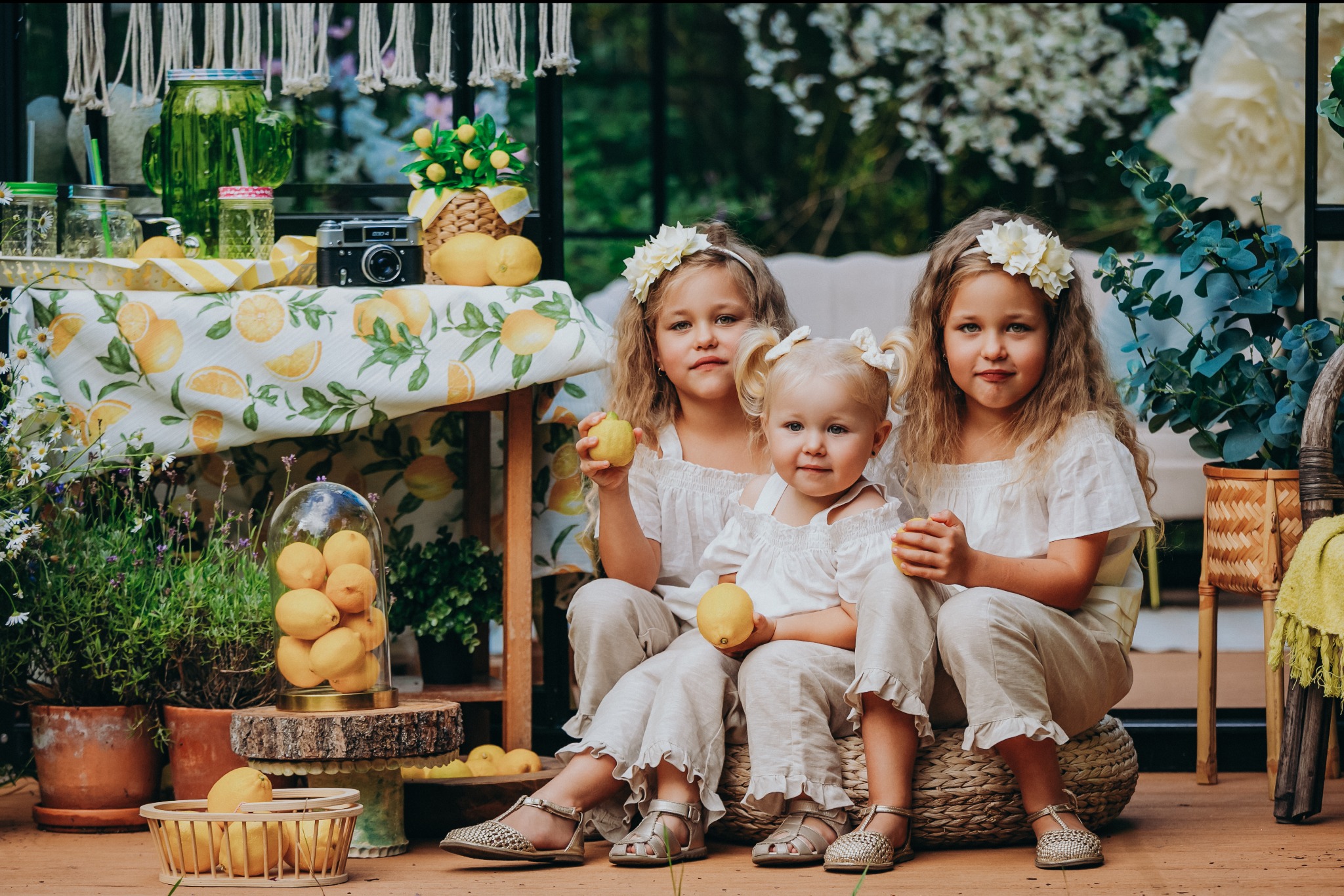Trzy urocze dziewczynki z blond włosami, w białych ubraniach, siedzą na tle dekoracji z motywem cytrynowym. Dziewczynki trzymają cytryny.