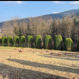 Agava - Mycie elewacji Myślenice