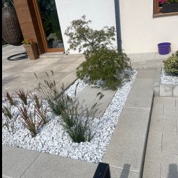 Nowoczesny ogród przydomowy z białymi kamieniami, ozdobnymi trawami i małym drzewkiem japońskim na tle jasnej elewacji domu z drewnianymi elementami.