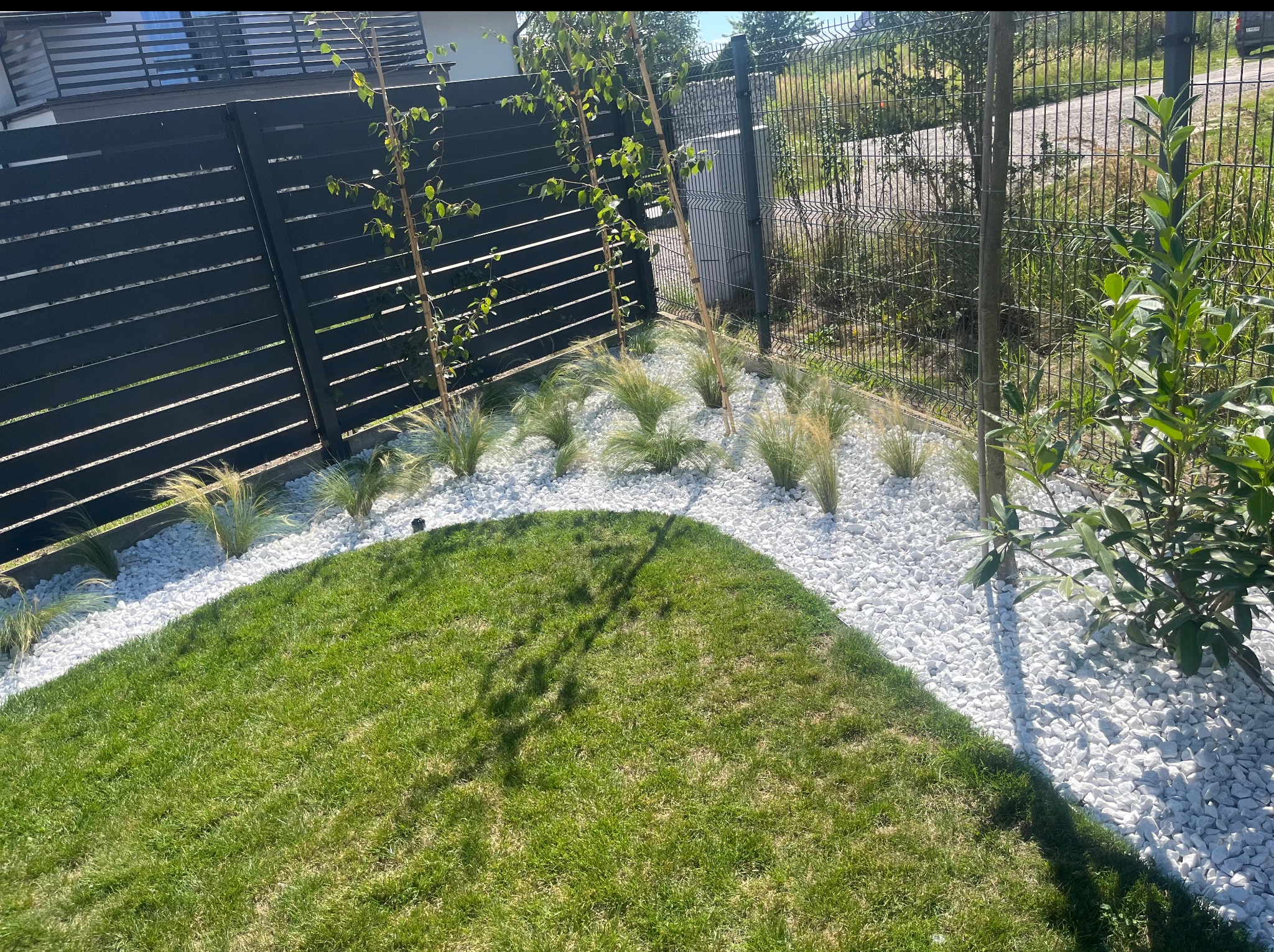 Ogród z trawnikiem, białymi kamieniami i ozdobnymi trawami przy czarnym panelowym ogrodzeniu. Nowoczesna aranżacja zieleni.