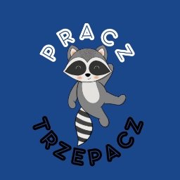 Pralnia Dywanów - Pranie Dywanów Konin