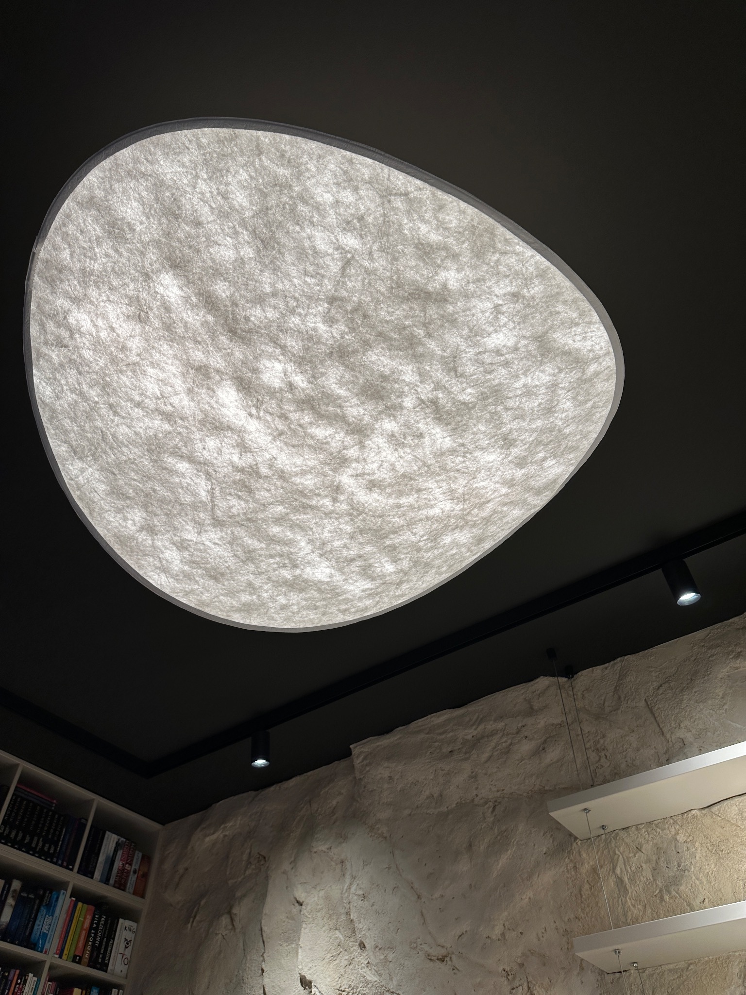 Owalna lampa sufitowa z białym, teksturowanym kloszem na tle ciemnego sufitu. W tle widoczna ściana z kamienia i regał z książkami.