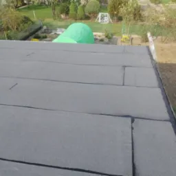 Szary, płaski dach pokryty papą bitumiczną, z widocznymi łączeniami. W tle ogród z zielonymi krzewami i drzewami. Po prawej drabina oparta o krawędź dachu.