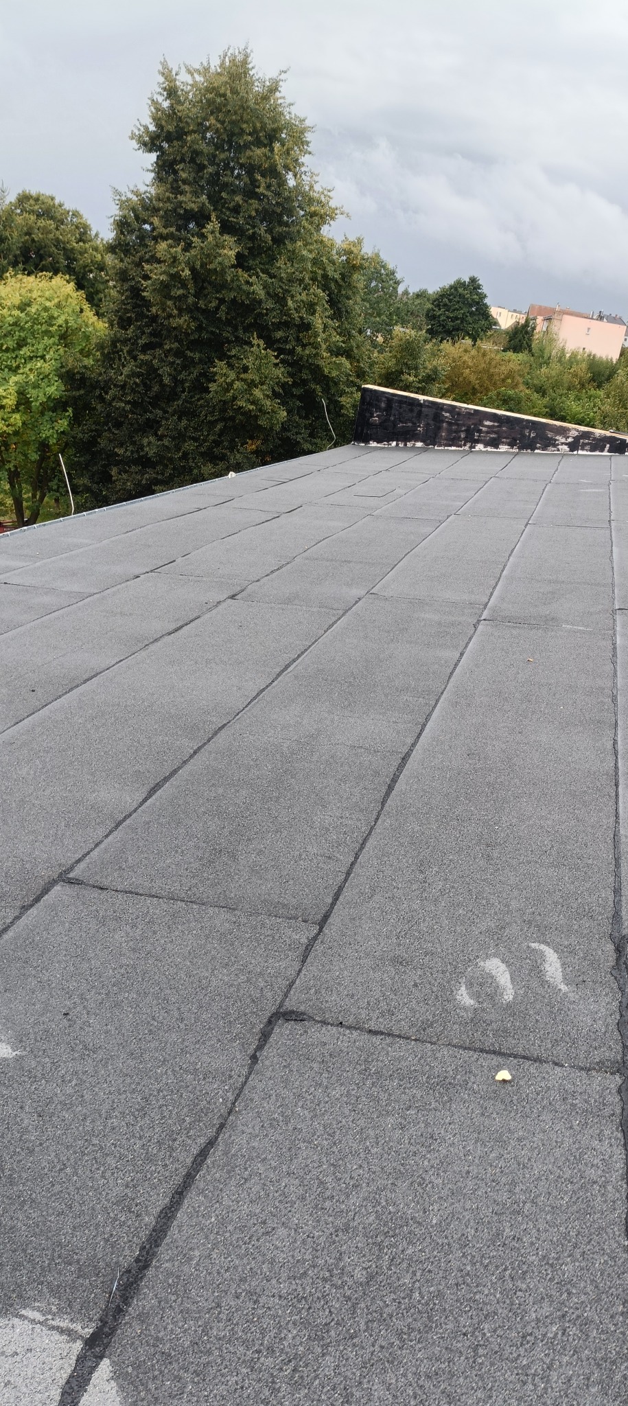 Dach pokryty papą termozgrzewalną, widoczne łączenia i fragmenty uszczelnień. W tle zieleń drzew i budynki w oddali, pochmurne niebo. Perspektywa z góry.