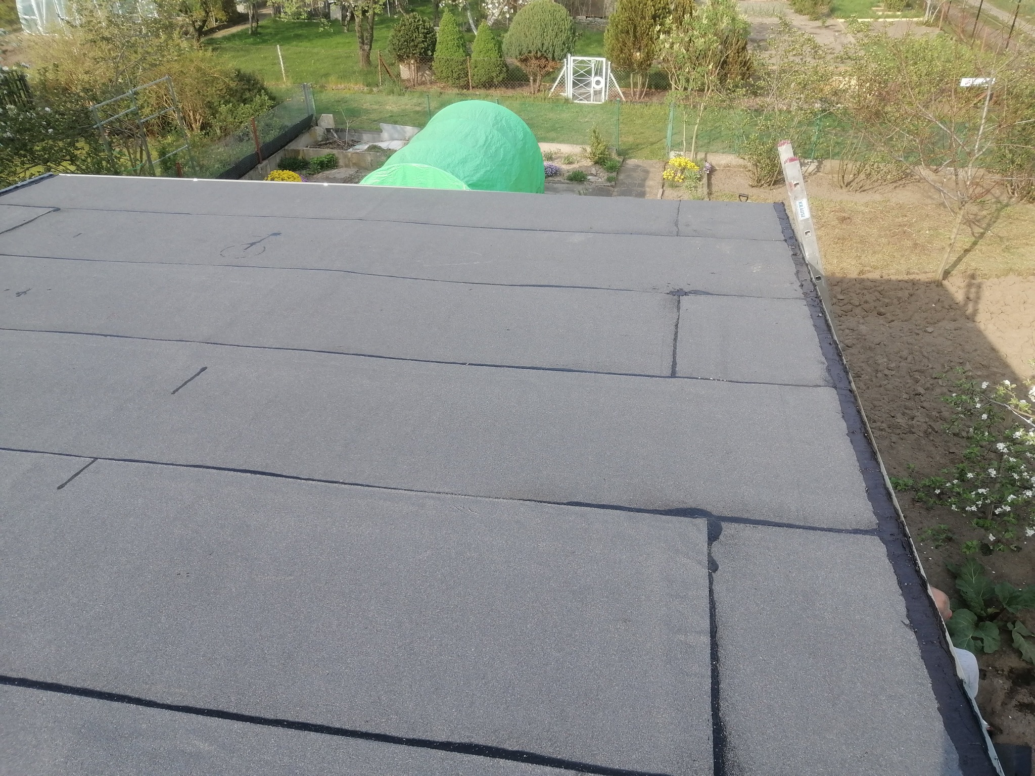 Szary, płaski dach pokryty papą bitumiczną, z widocznymi łączeniami. W tle ogród z zielonymi krzewami i drzewami. Po prawej drabina oparta o krawędź dachu.