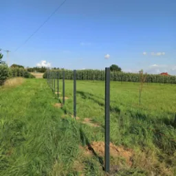 Rząd czarnych, metalowych słupk&oacute;w ogrodzeniowych, r&oacute;wno ustawionych wzdłuż zarośniętego pola, z kukurydzą w tle pod błękitnym niebem. Etap montażu ogrodzenia.